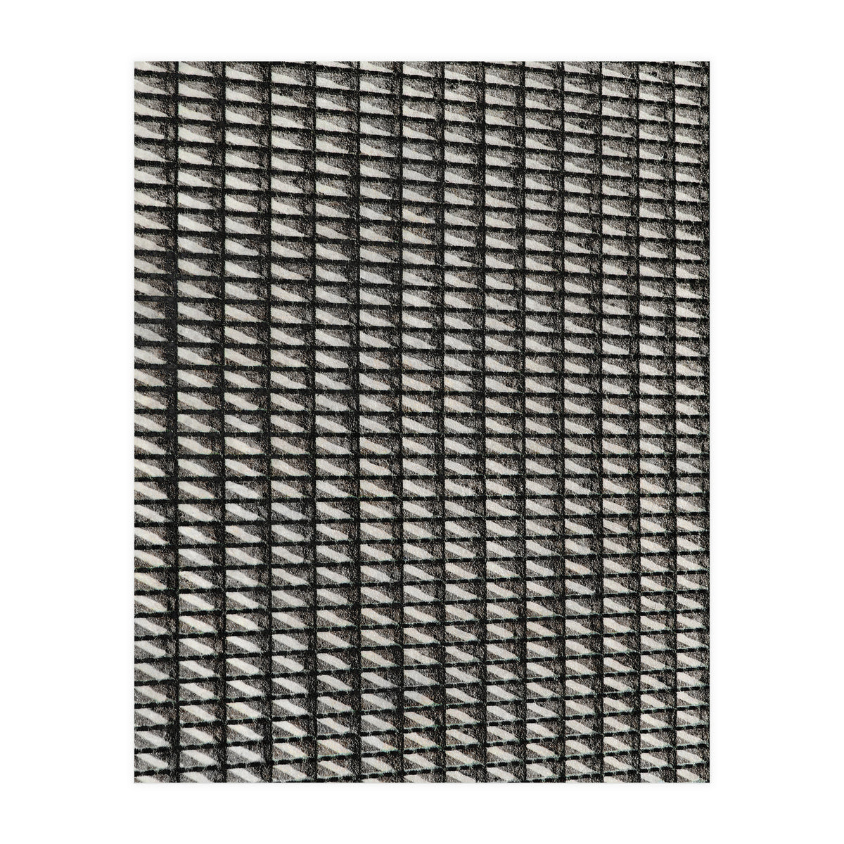 Shadowplay II (Print Only)