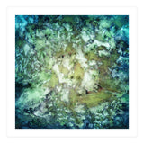 Observation (Print Only) thumbnail