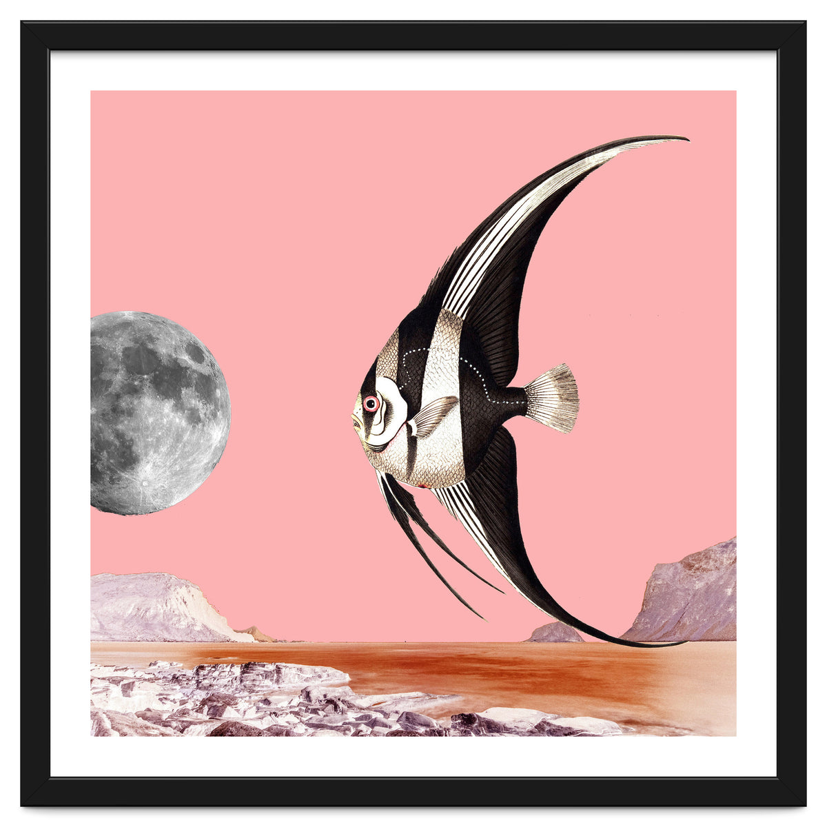 Plenty Of Fish In The Sea Pink