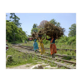 Nuwara Eliya, Sri Lanka (Print Only) thumbnail
