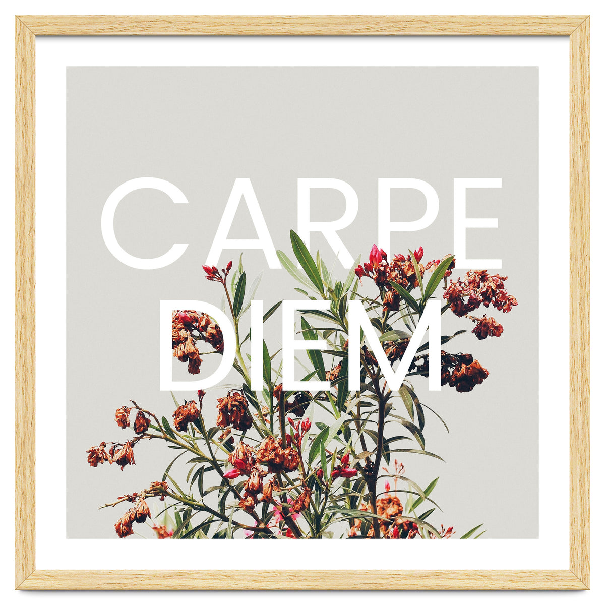 Carpe Diem
