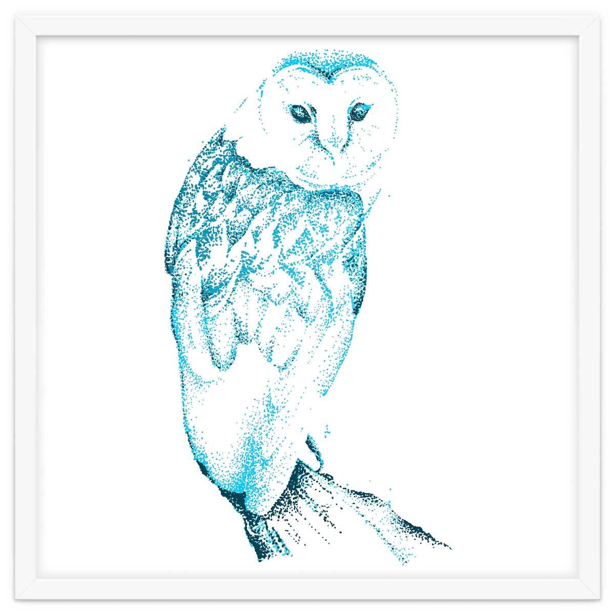 Barn Owl in Teal
