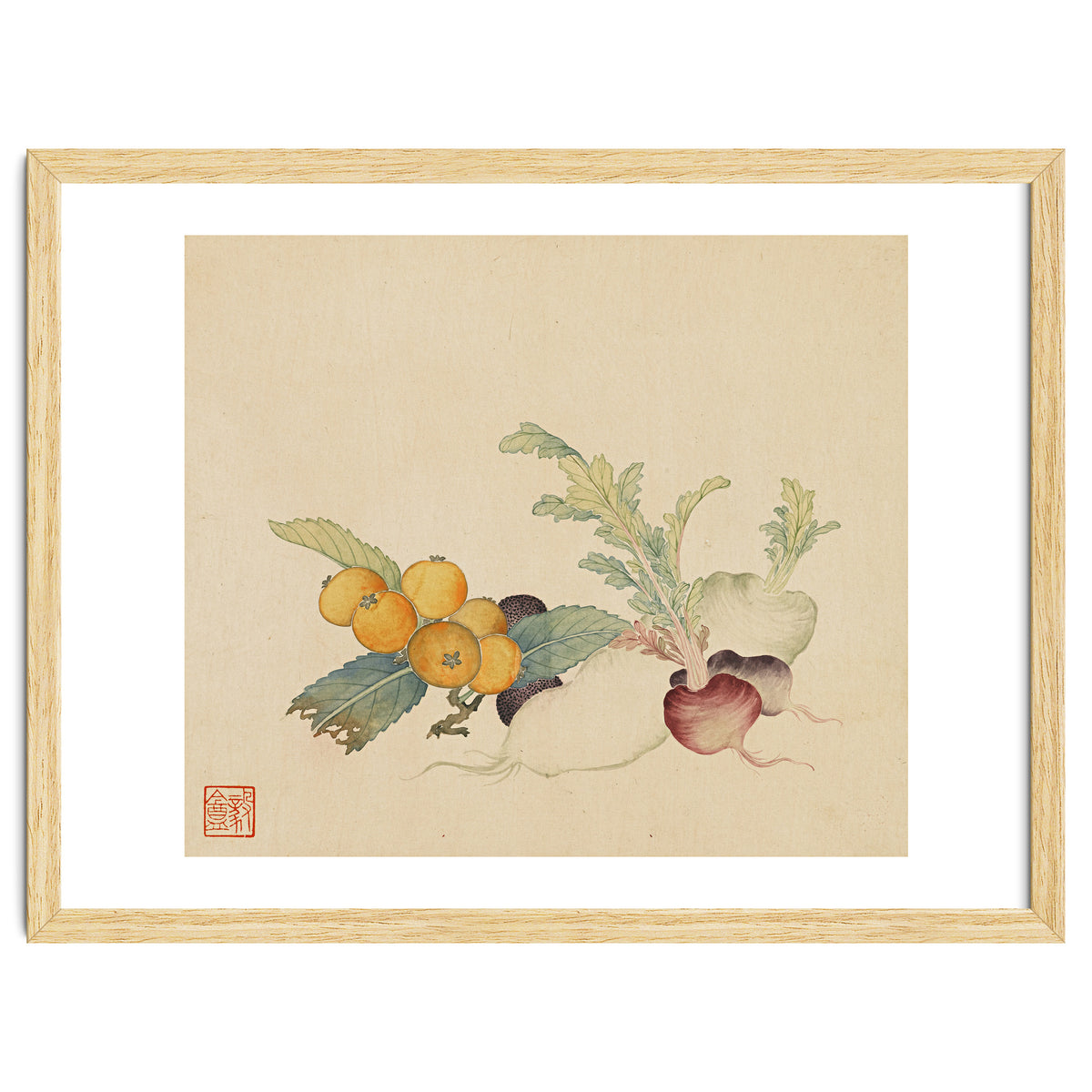 Wang Chengpi~flowers And Vegetables, Vegetables, Fruits, Loquat, White Radish, Carrot, Radish