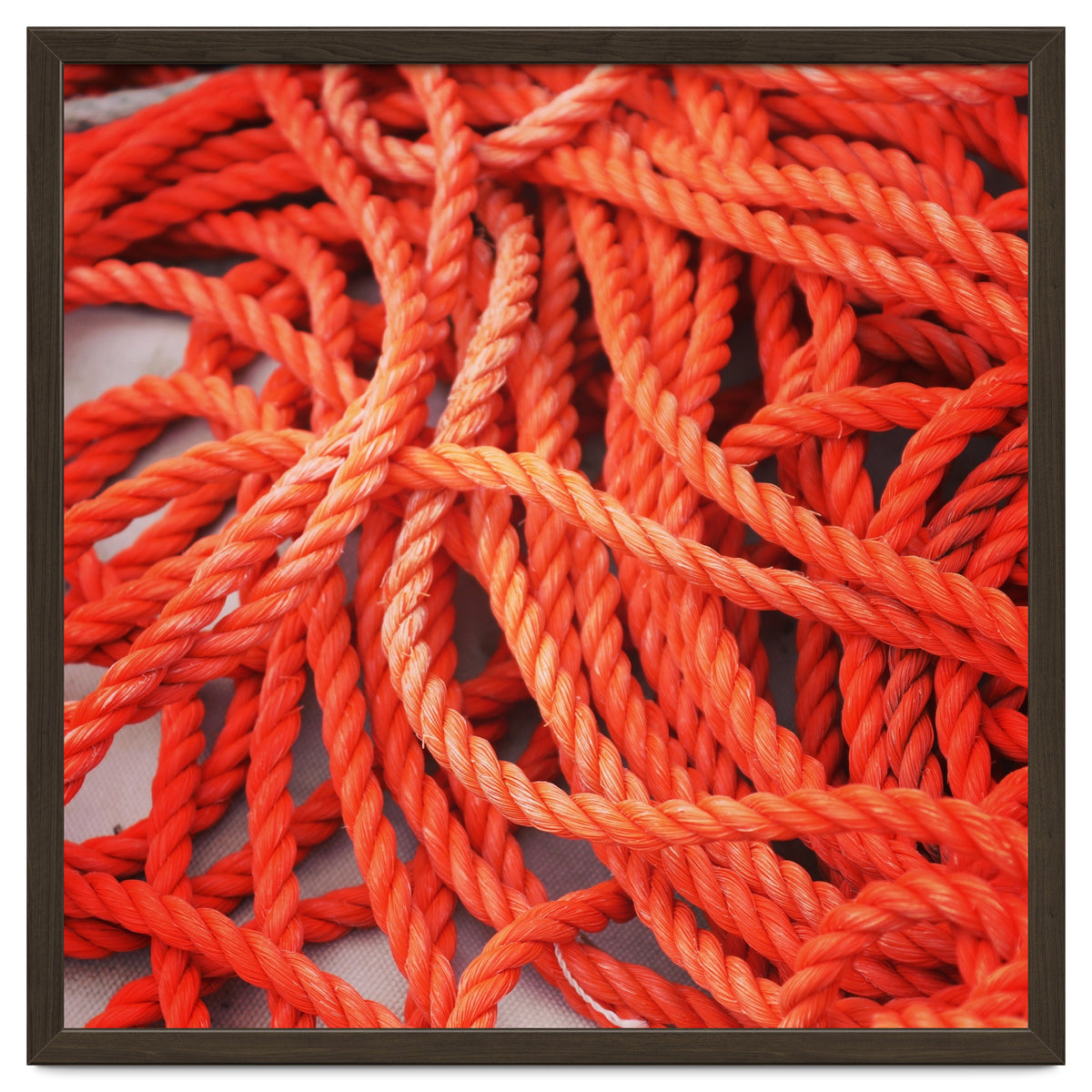 Orange ropes