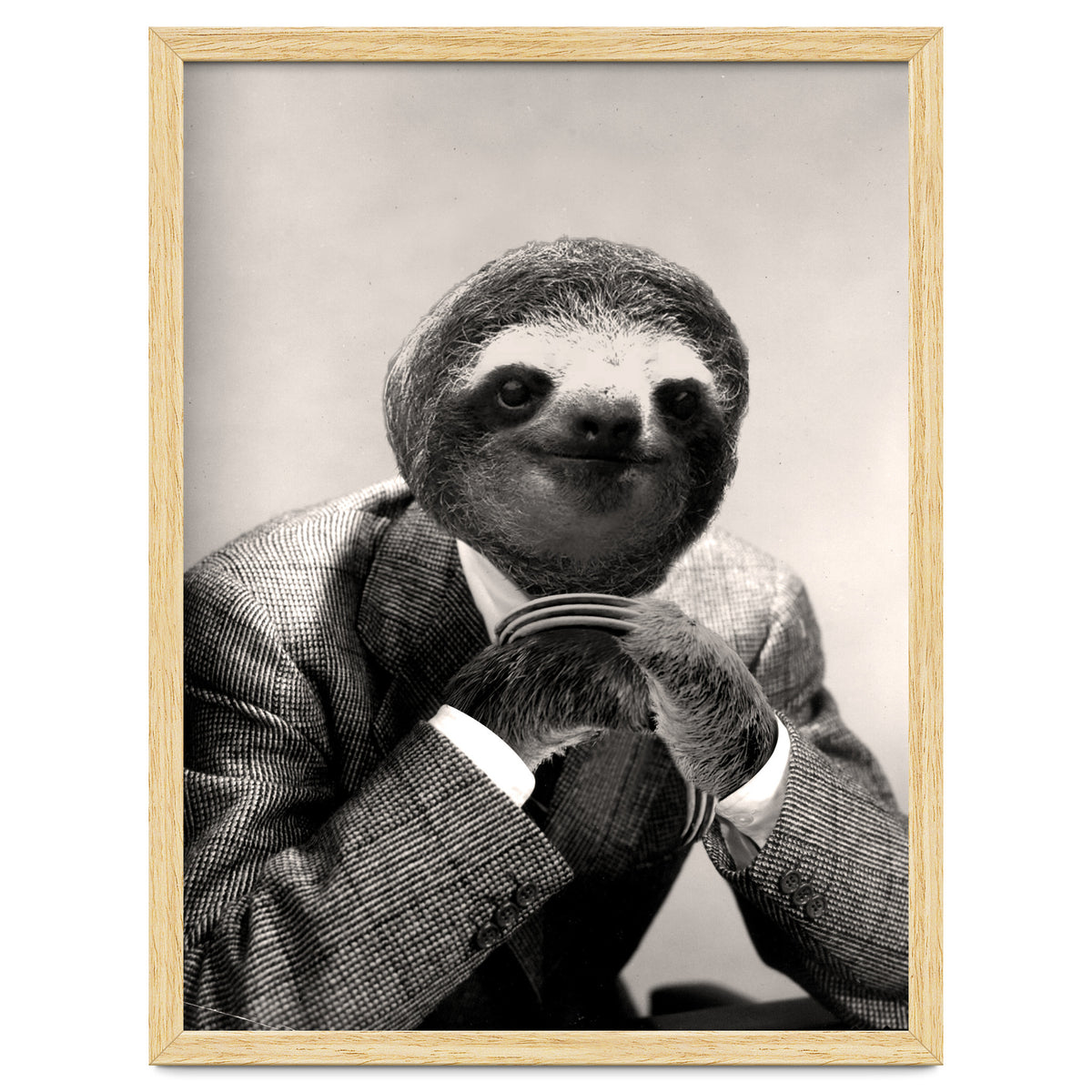 Gentleman Sloth 3