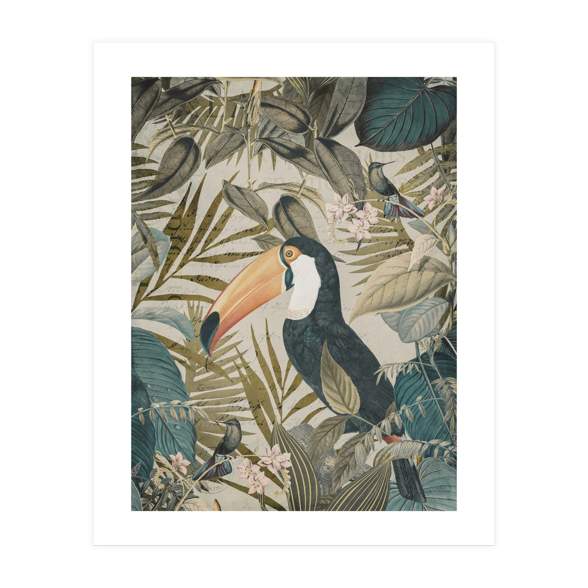 Jungle Toucan (Print Only)
