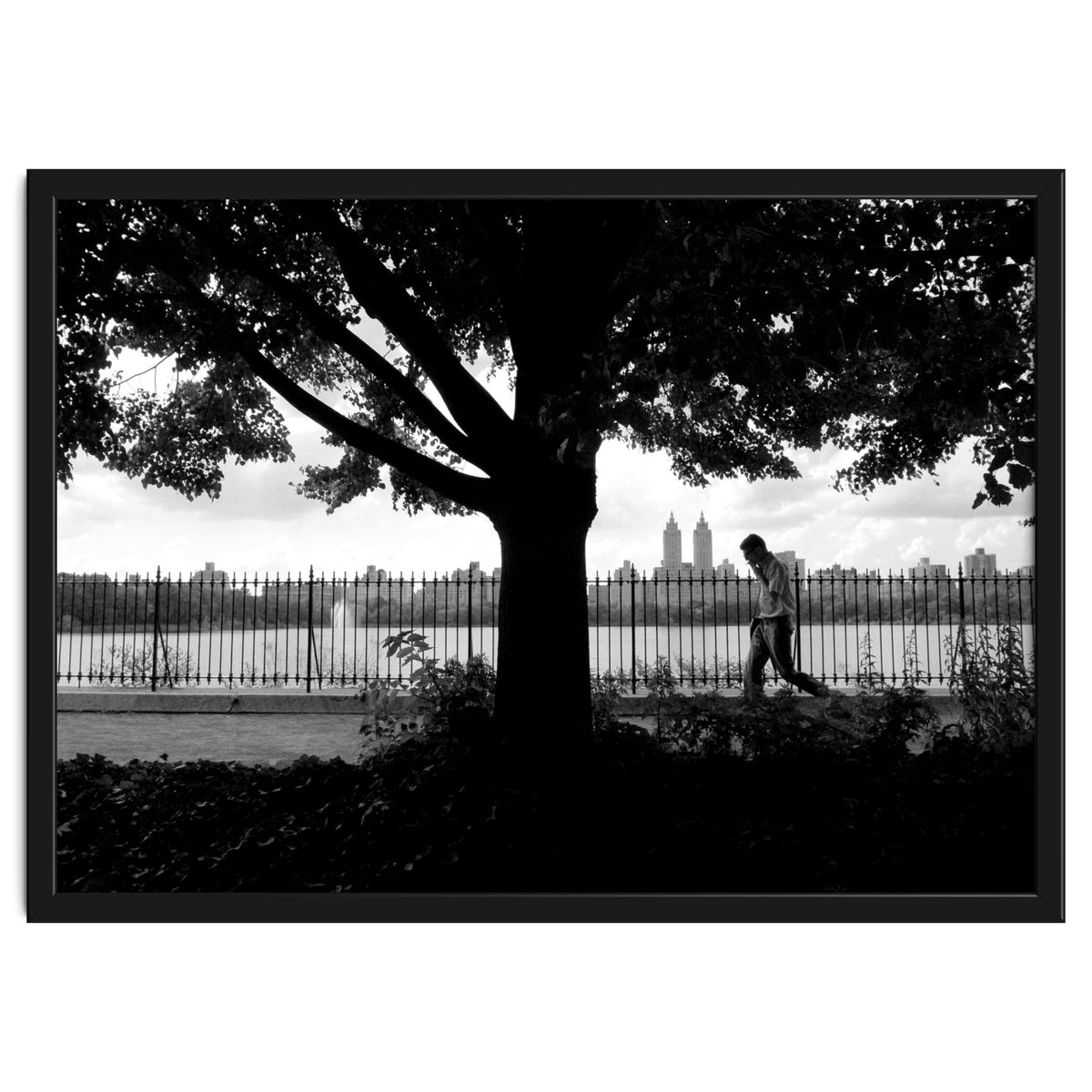 Central Park, New York City