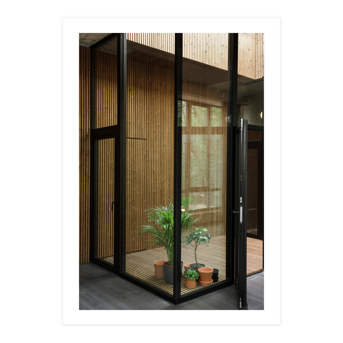 Public Place at my House (Print Only)