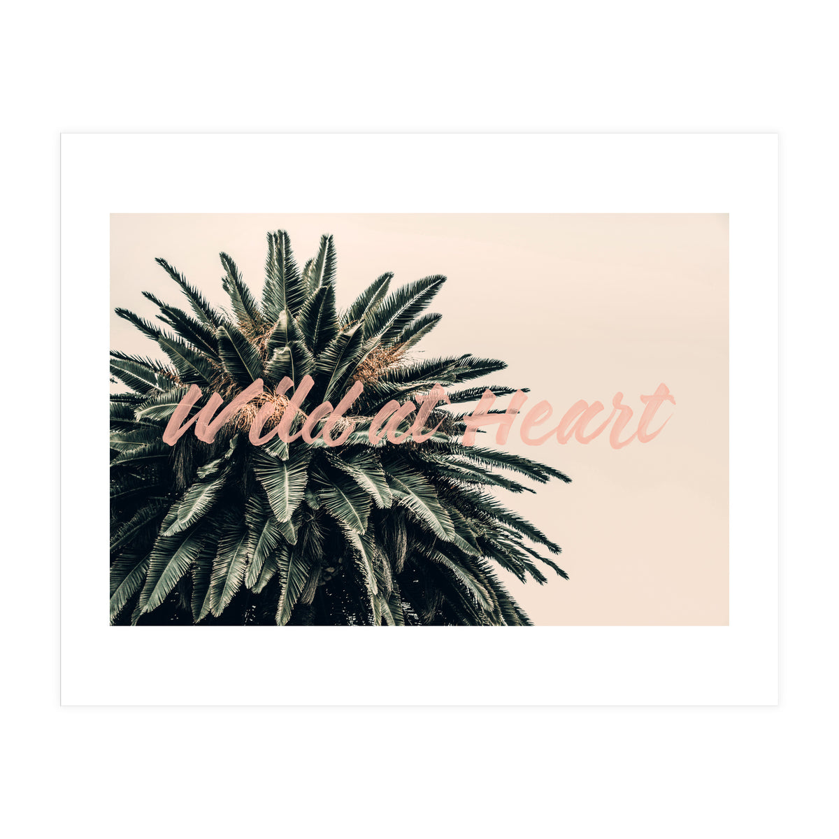 Wild At Heart (Print Only)