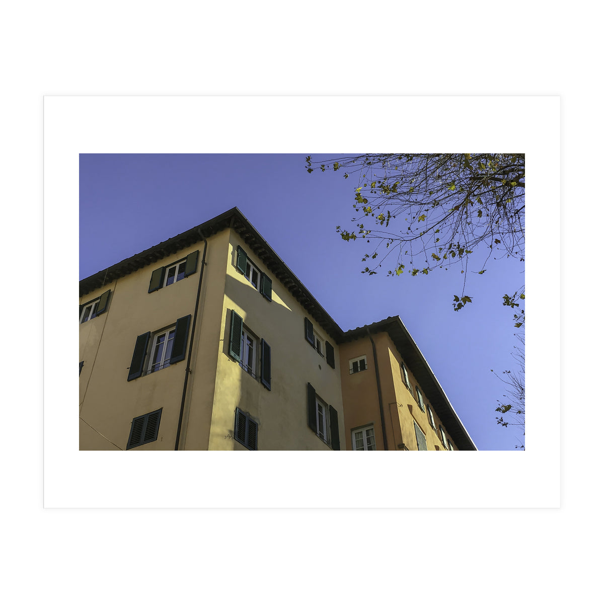 Windows From Tuscany 2 (Print Only)