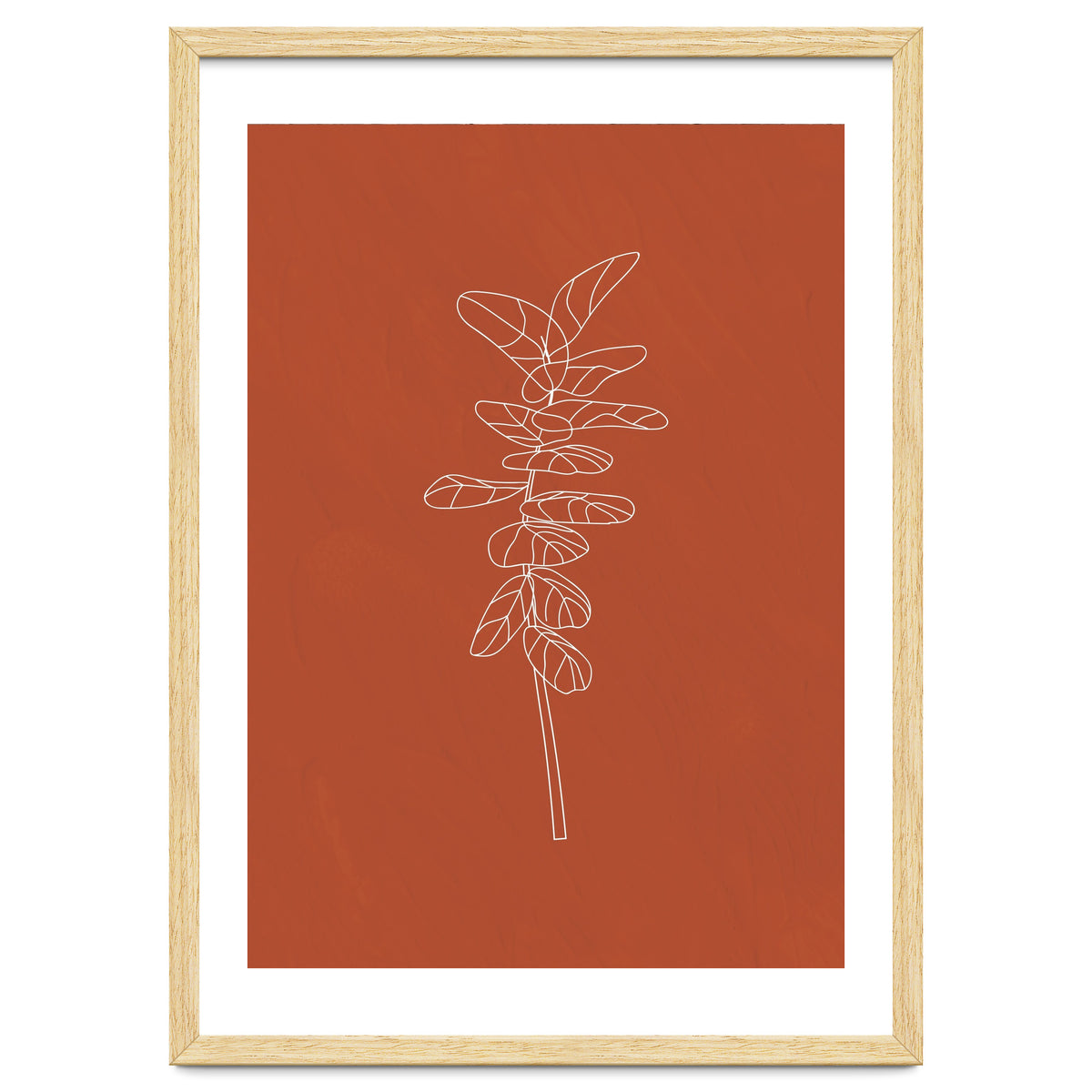 Line Art Botanical Terracotta