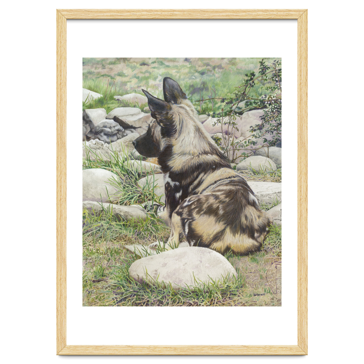 African Painted Dog I