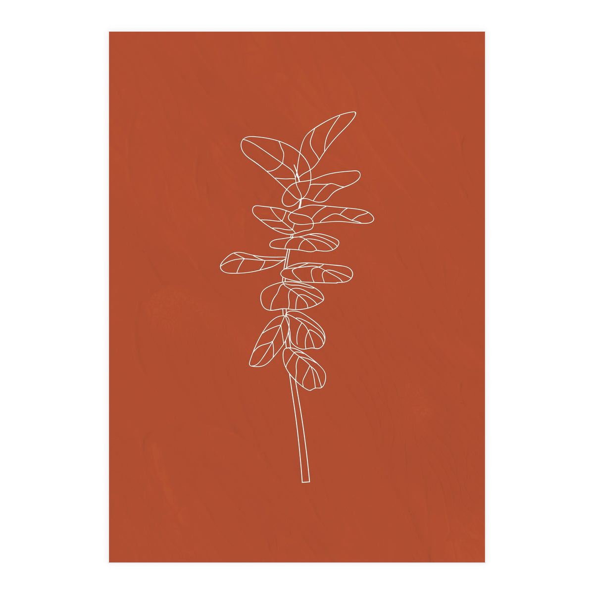 Line Art Botanical Terracotta (Print Only)