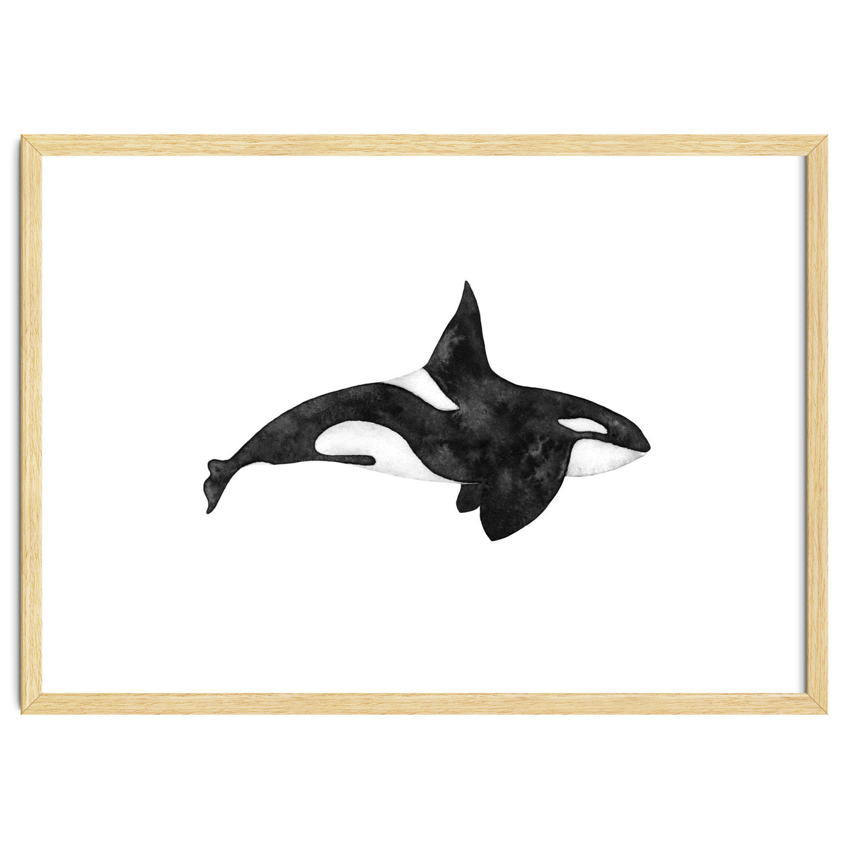 Orca