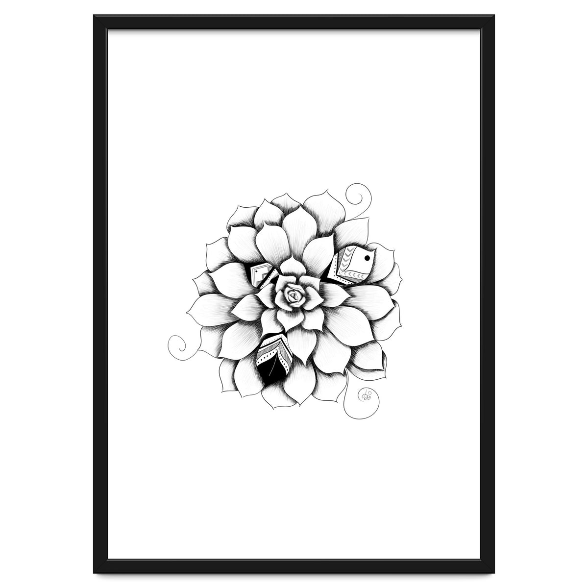 Poetic Echeveria Plant