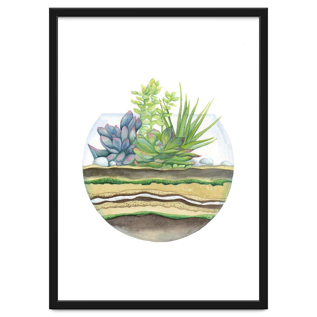 A Little Green Terrarium