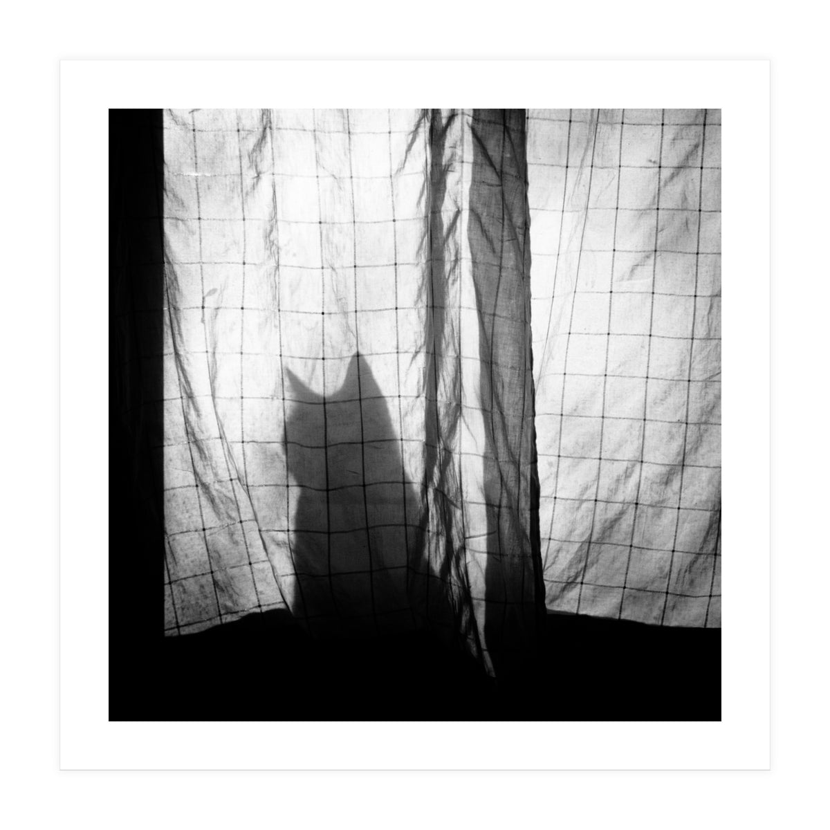 Mr. Wallace (Print Only)