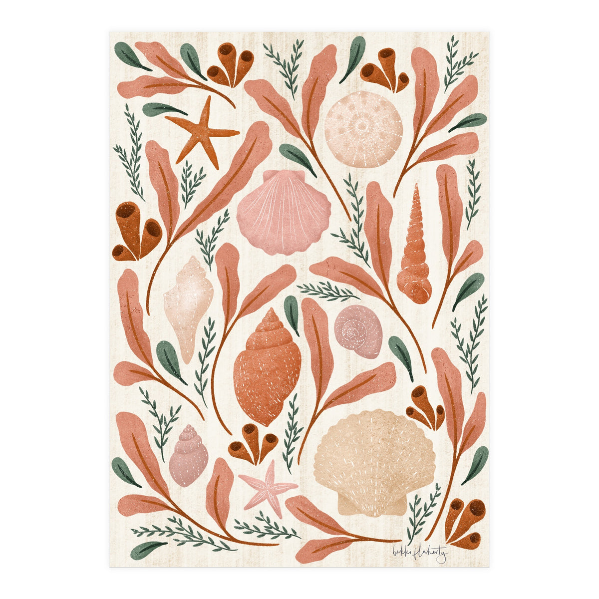 Shells Collection (Print Only)