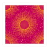 Sunflower (Print Only) thumbnail