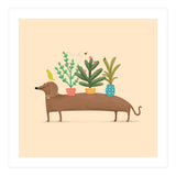 Dachshund And Parrot (Print Only) thumbnail