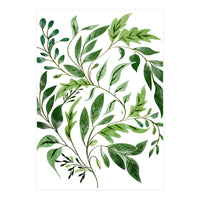 Botanical Abundance, Fresh Green Nature Watercolor Painting, Vibrant Leaves Minimal Illustration (Print Only)