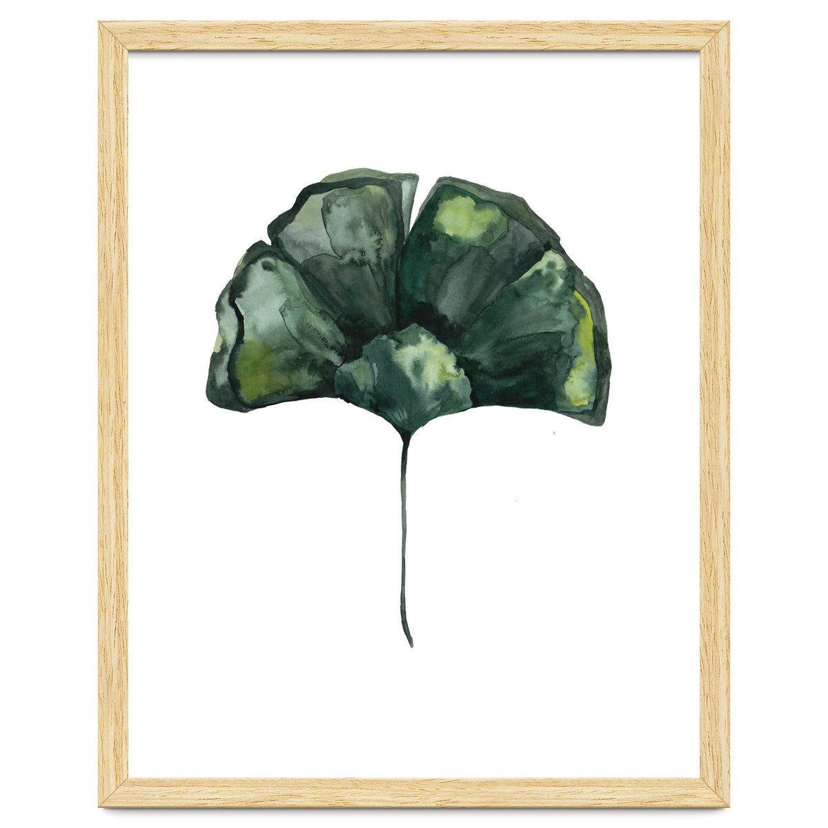 Botanical Illustration Ginko