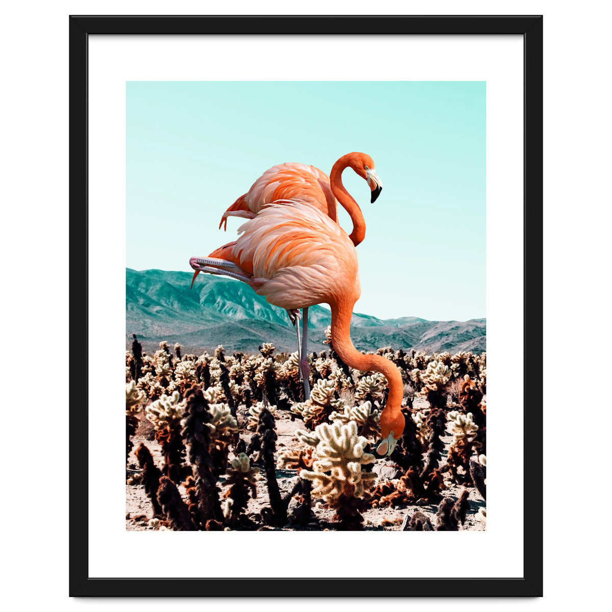 Flamingos In The Desert