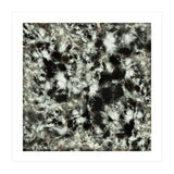 Grey Footprints (Print Only) thumbnail