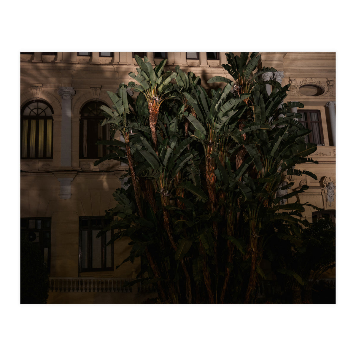 Malaga at Night (Print Only)