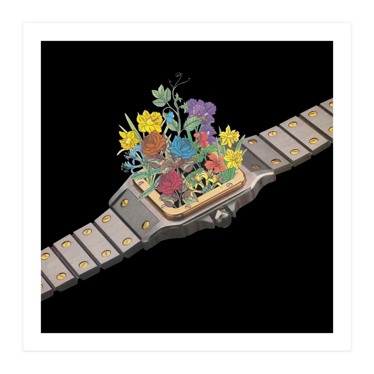 Natural Watch (Print Only)