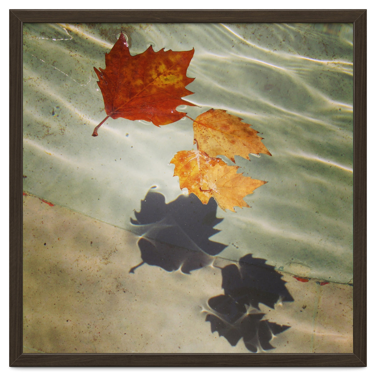 Floating leaves