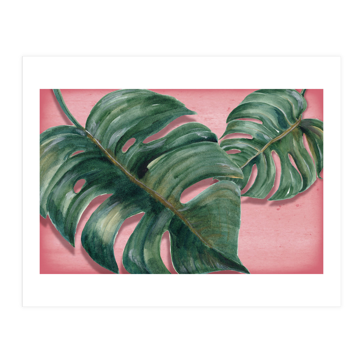 Monstera Leaf (Print Only)