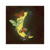 Moth moon (Print Only) thumbnail