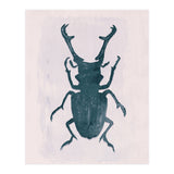 Beetle 3 (Print Only) thumbnail