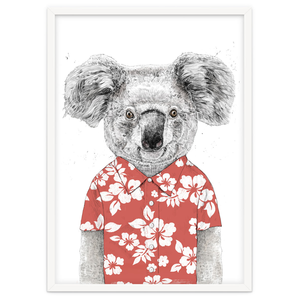 Summer Koala