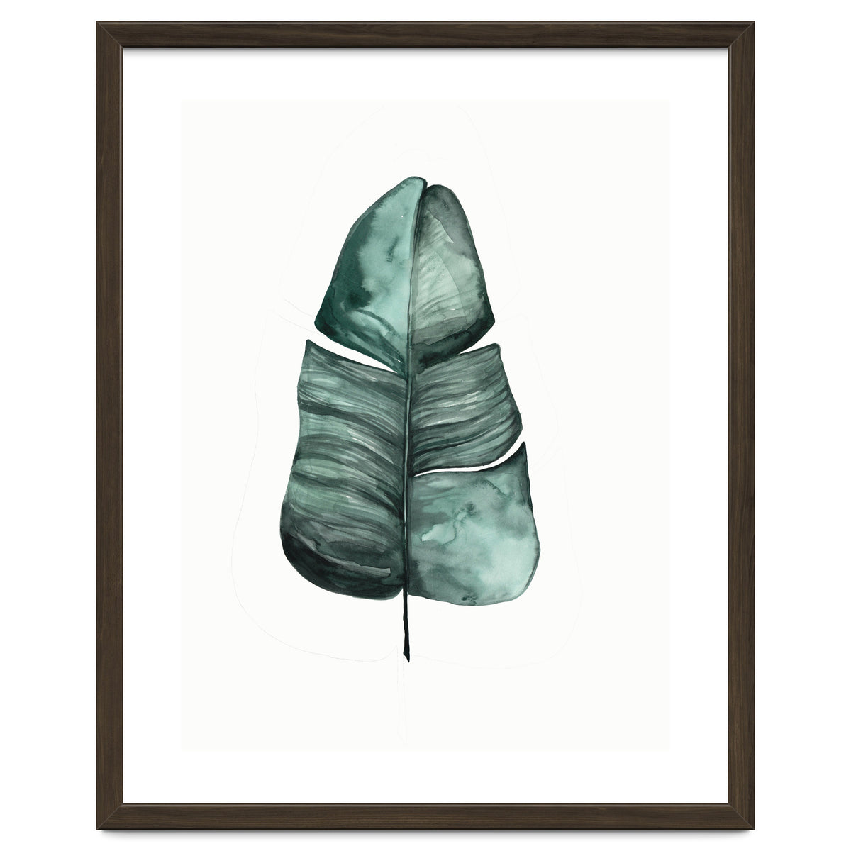 Botanical Illustration Banana Leaf