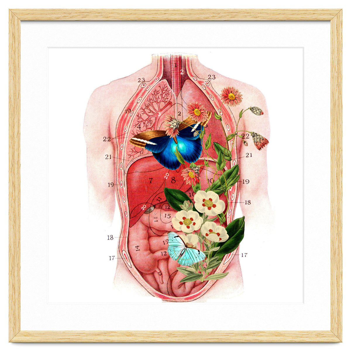 Butterflys In The Belly Makes Flower Grows