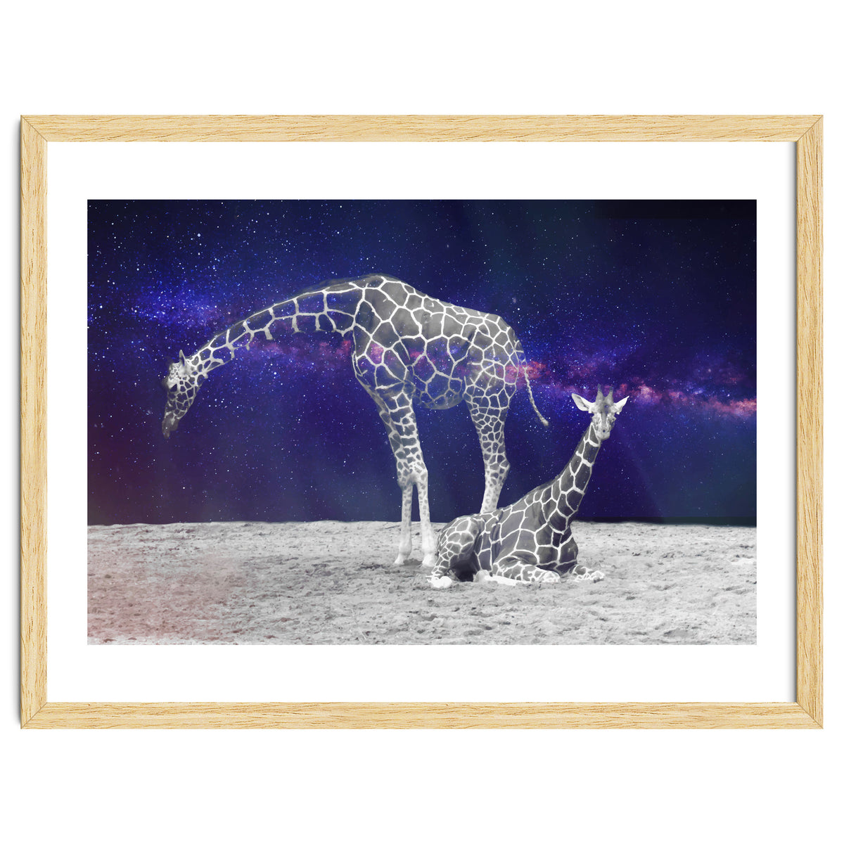 Giraffes on The Moon
