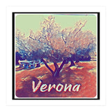Olive Tree In Verona (Print Only) thumbnail
