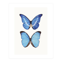 Cc Butterflies 05 (Print Only)