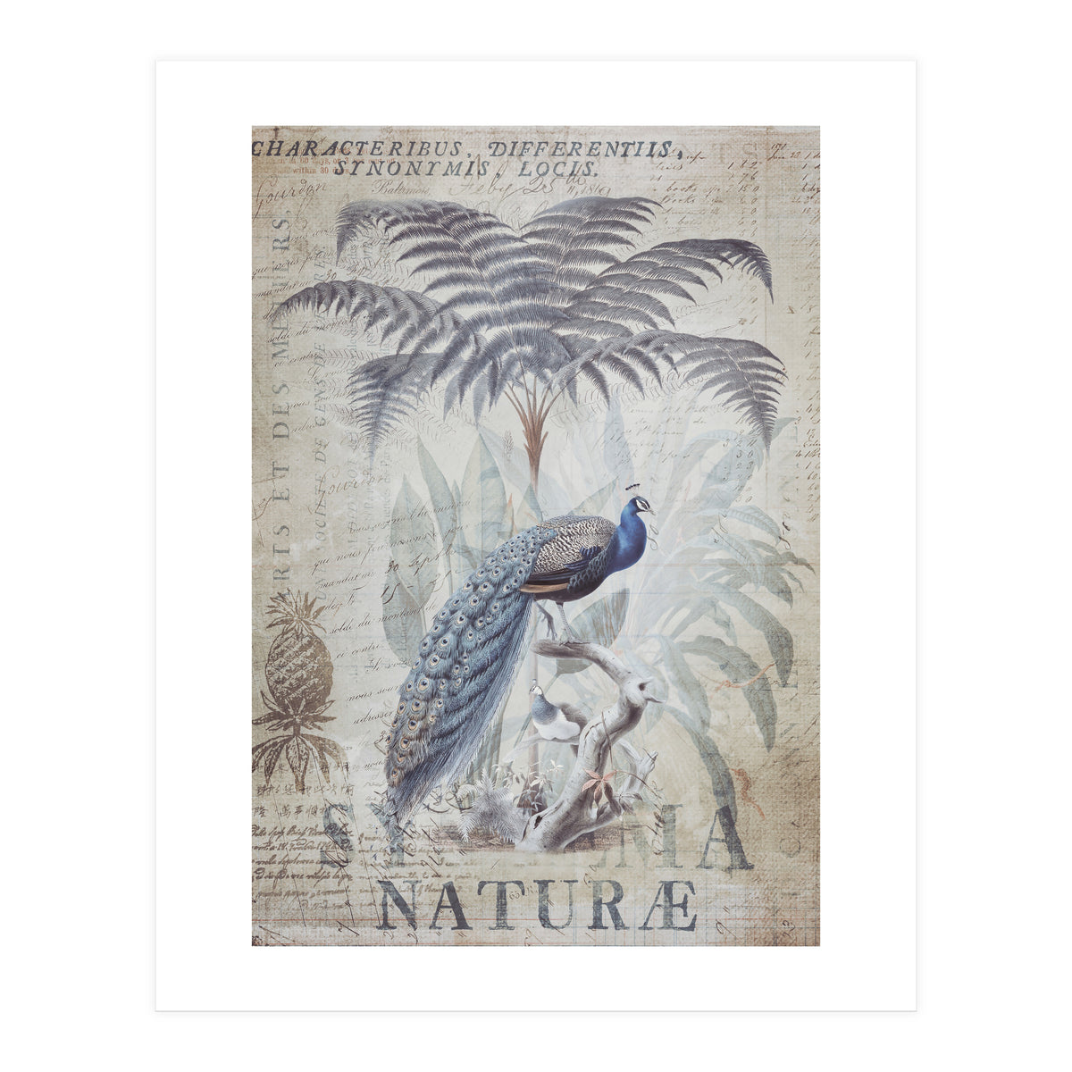 Peacock Jungle (Print Only)