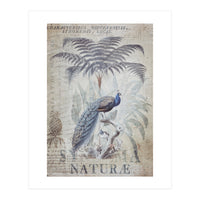 Peacock Jungle (Print Only)