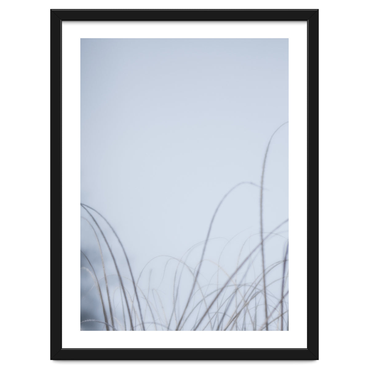 Forgotten Memories of Summer #20