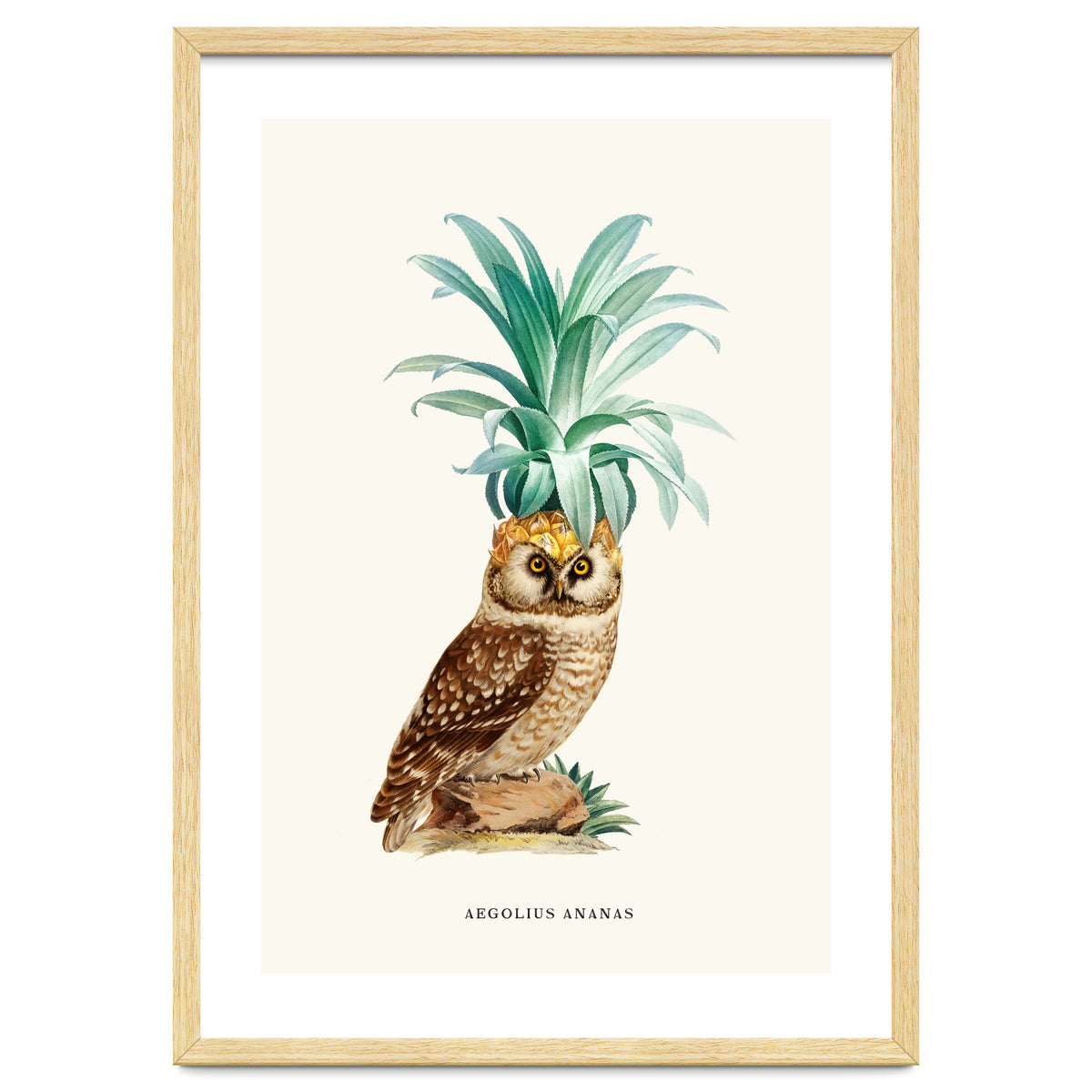 Pineapple Owl Vintage