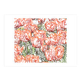 Tulip Garden (Print Only) thumbnail