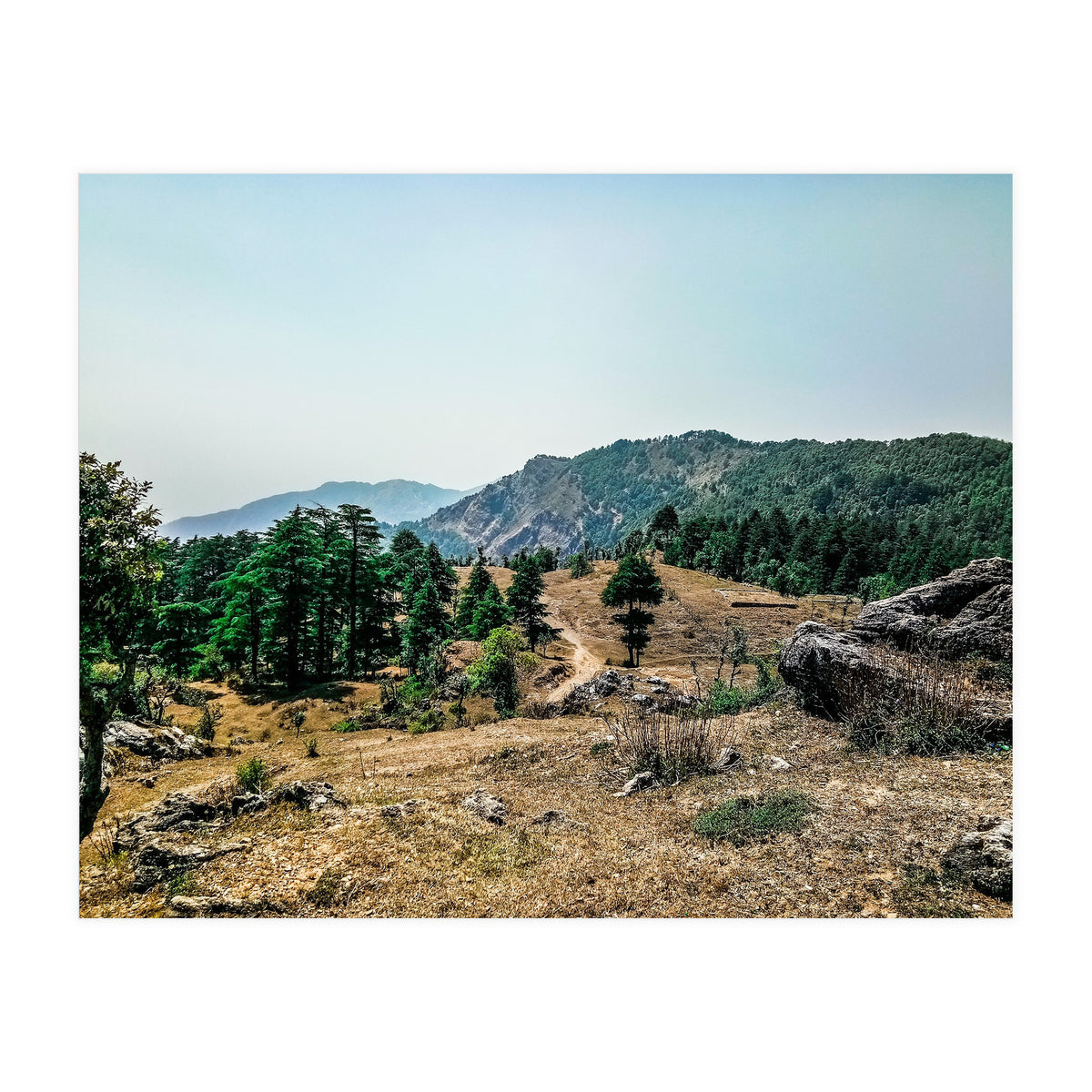 Let's Take A Walk (Print Only)