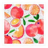 Citrus Tropical | Juicy Fruits Polka Dots | Food Orange Grapefruit Pink Watercolor Botanica (Print Only) thumbnail