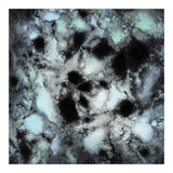 Searching For Animal Tracks (Print Only) thumbnail