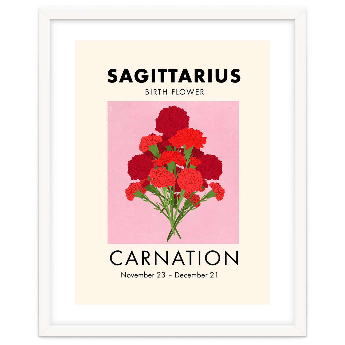 Sagittarius Birth Flower Carnation