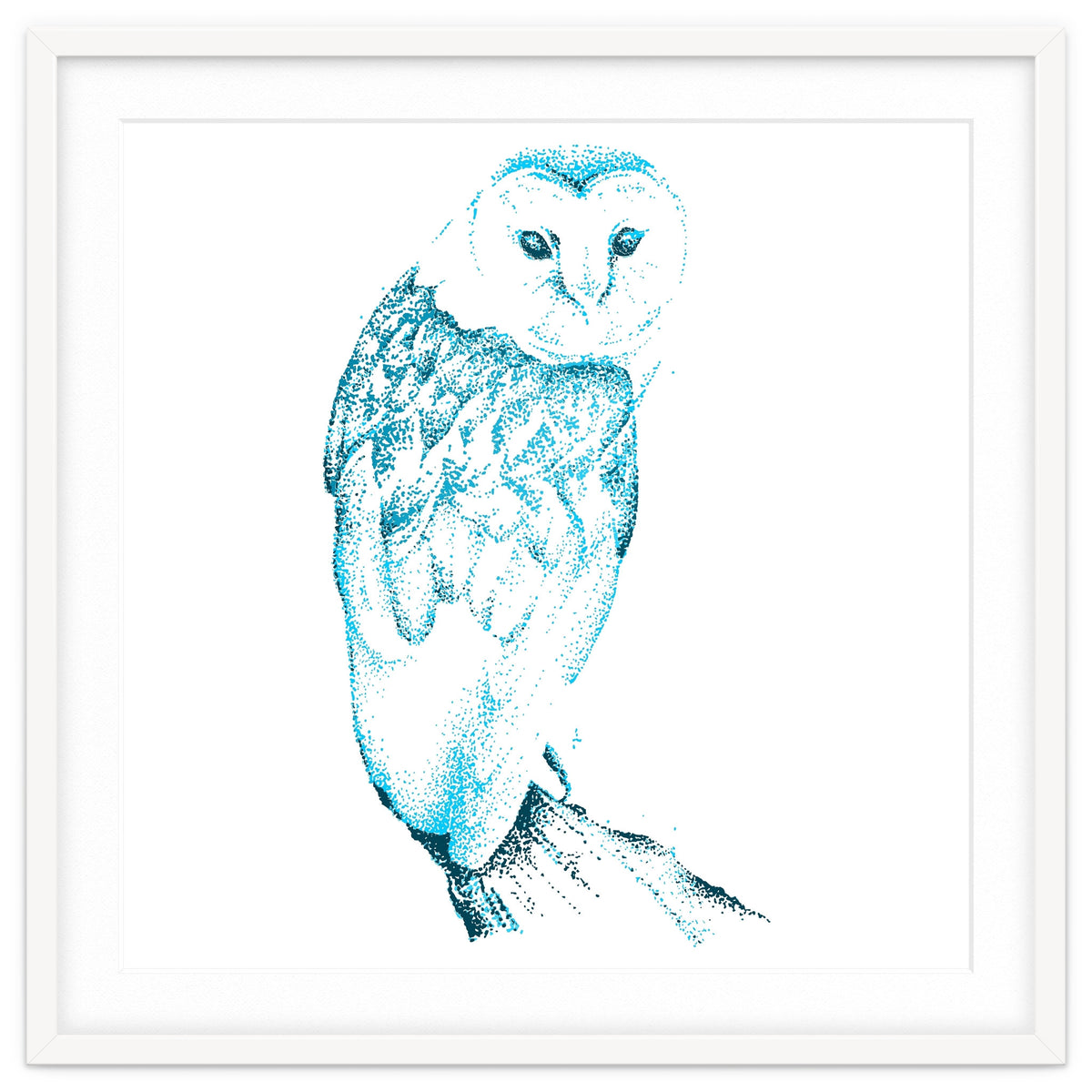 Barn Owl in Teal